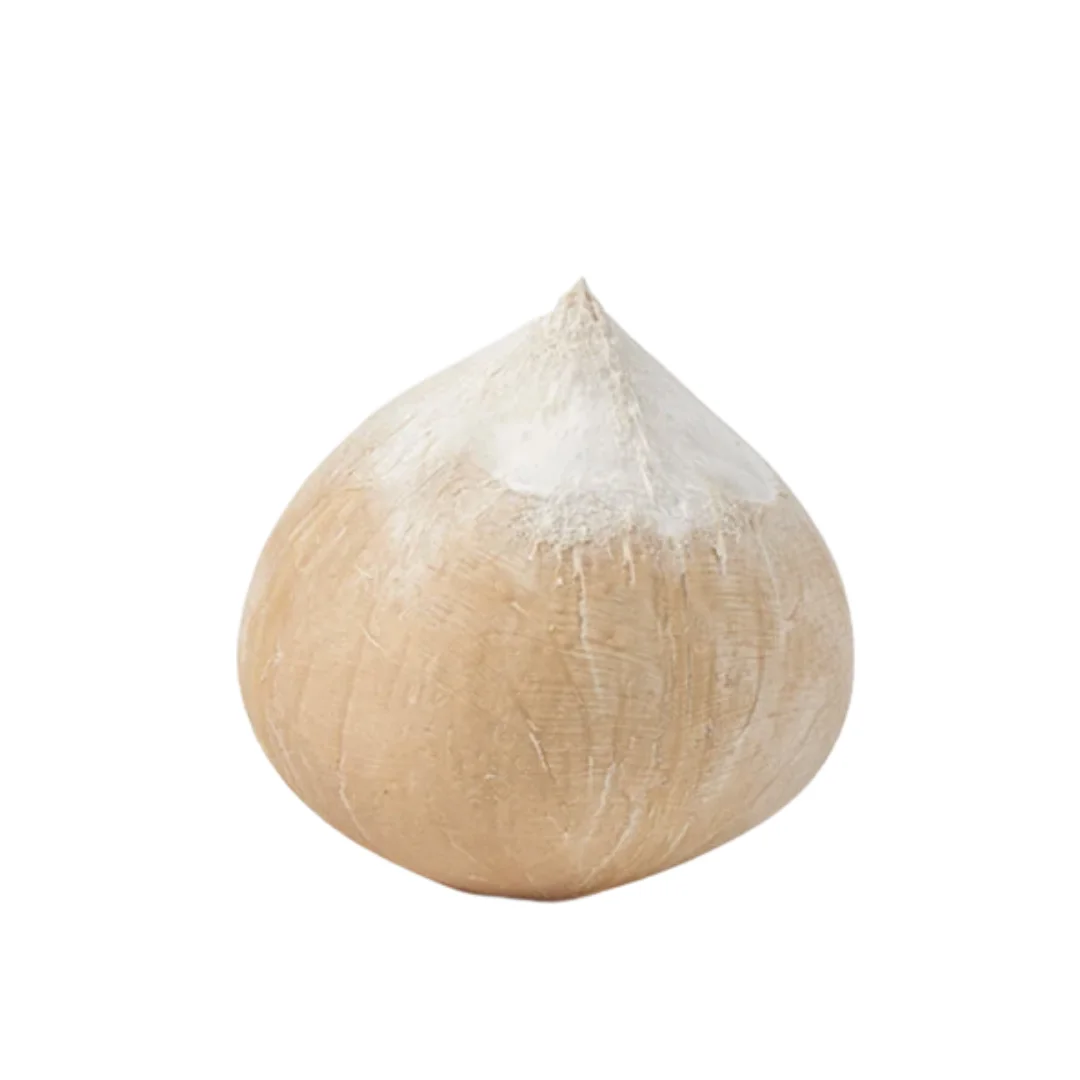 Оптовая продажа, 2023 новый свежий молодой кокосовый вьетнамский белый лысый тропический ракушка, хорошая цена