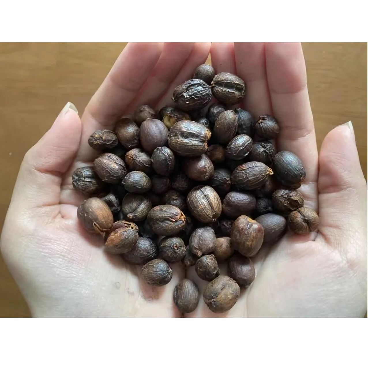 Green Coffee Beans New Product Agriculture Robusta Coffee Beans from VIETNAM