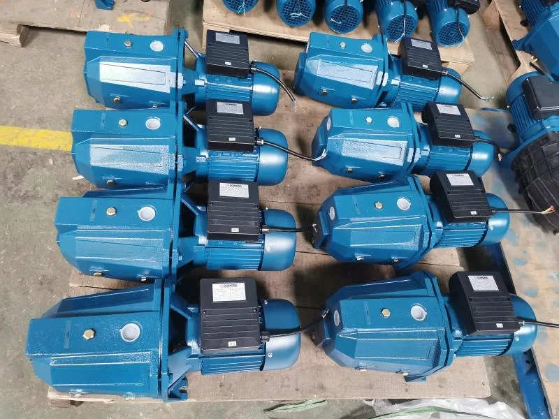 RUIQI Low-priced High Quality Electric Self-Priming Jet water pump 1HP JSP 355A/50 agricultural Water pump garden pump home use