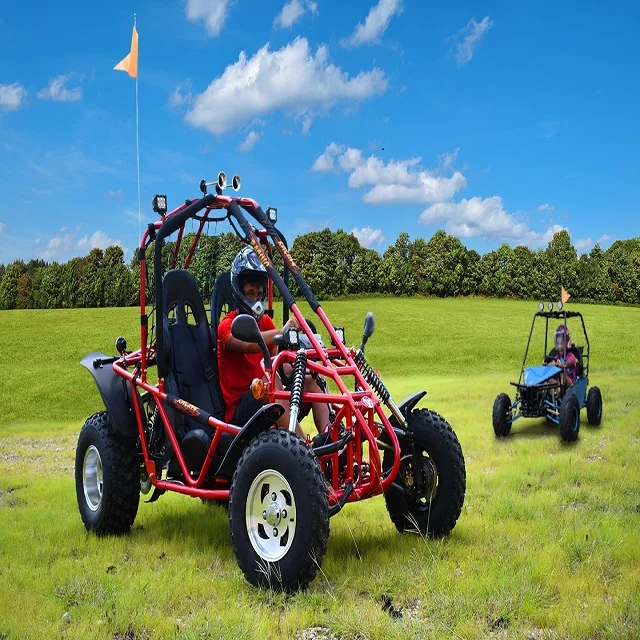 Go kart 196cc 212cc 2-местный перейти в корзину детский картинг приведенный