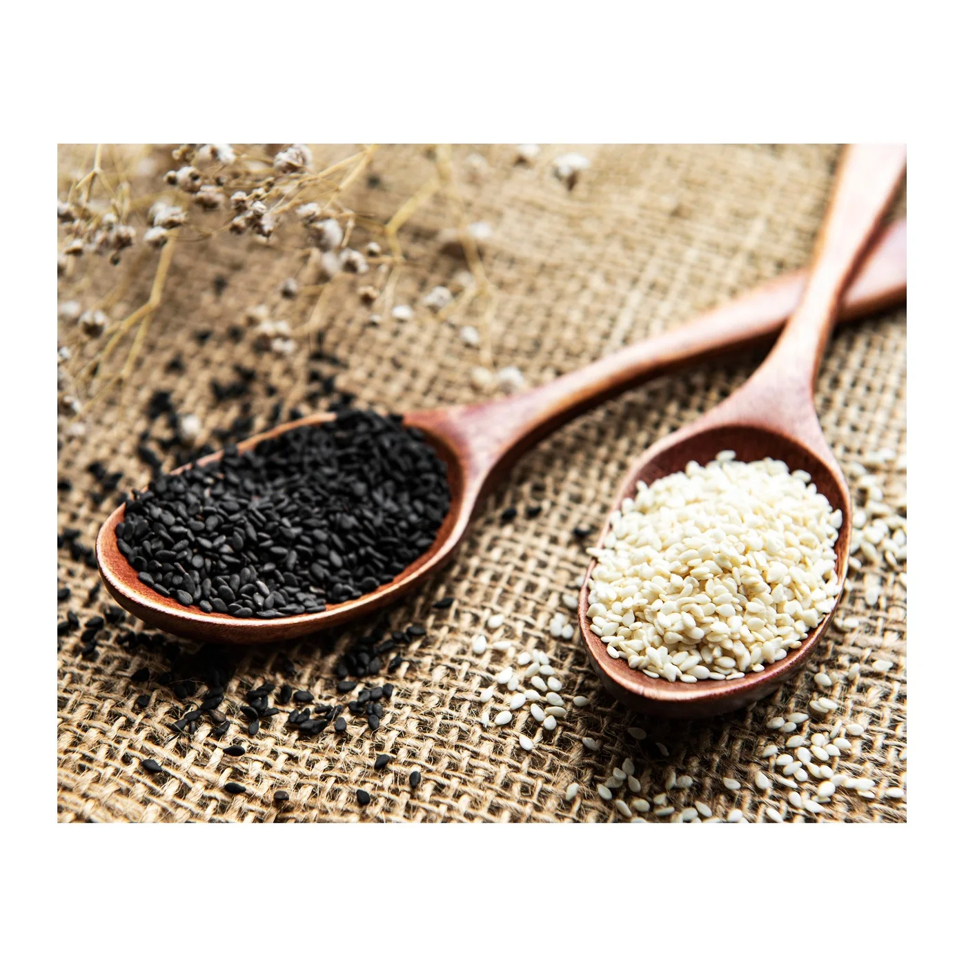 Factory Supply Bulk Wholesale Price Top Quality Natural Organic Sesame Seeds Available For Sale