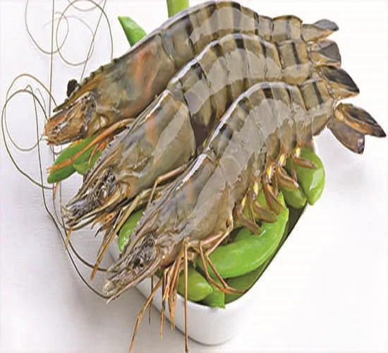 FROZEN SHRIMP from 1kg Bag Style Packaging Weight Shelf Headless Origin Type Life Variety Place cheap price from Bangladesh