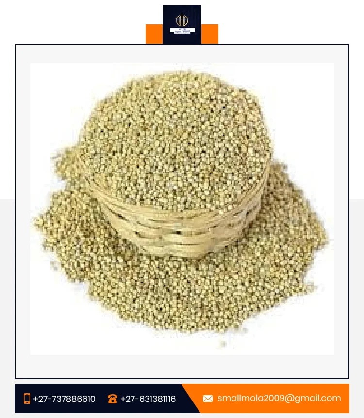 Millet Nature Chinese Yellow Millet in Husk for Bird Feeds