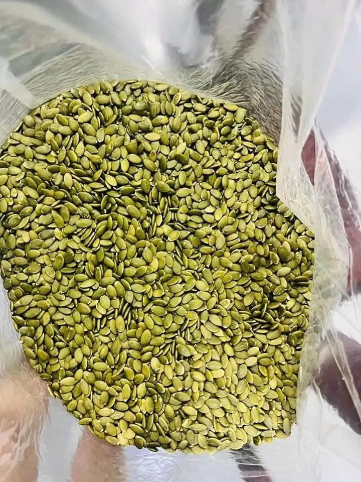Good Quality Direct Factory Sale Supplier Manufacturer of 100% Organic Natural Fresh Pumpkin Seeds Kernel