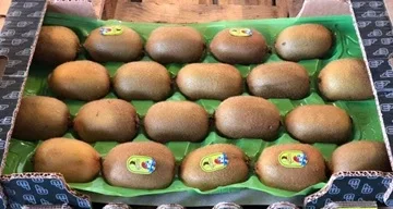 Свежие фрукты Kiwi 120 г в скрипиках и пластиковые картонные коробки турецкий оригинальный оптовая продажа