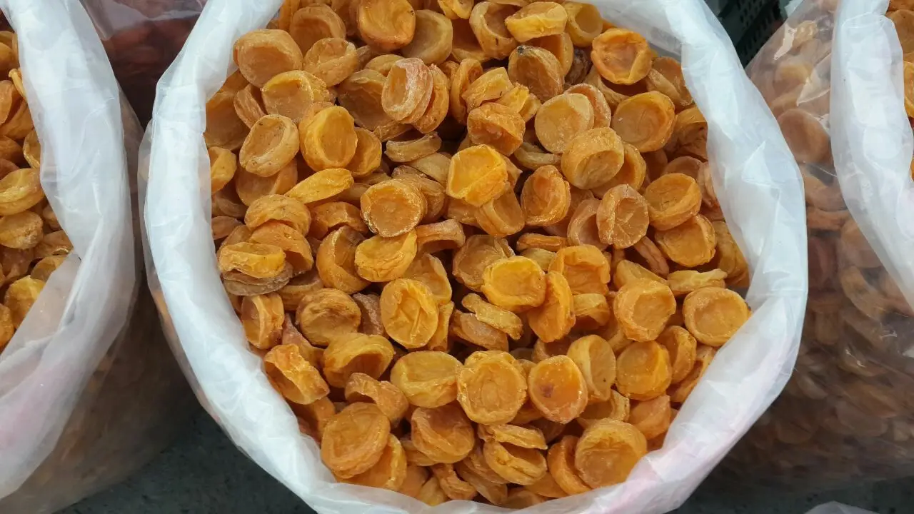 Wholesale Natural Organic Top Grade Pitted Dried Apricot Balonchik Bulk Pitted Apricots Dried Fruit From Uzbekistan