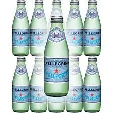 S.Pellegrino Sparkling Natural Mineral Water 16.9 fl oz. (24 Pack)
