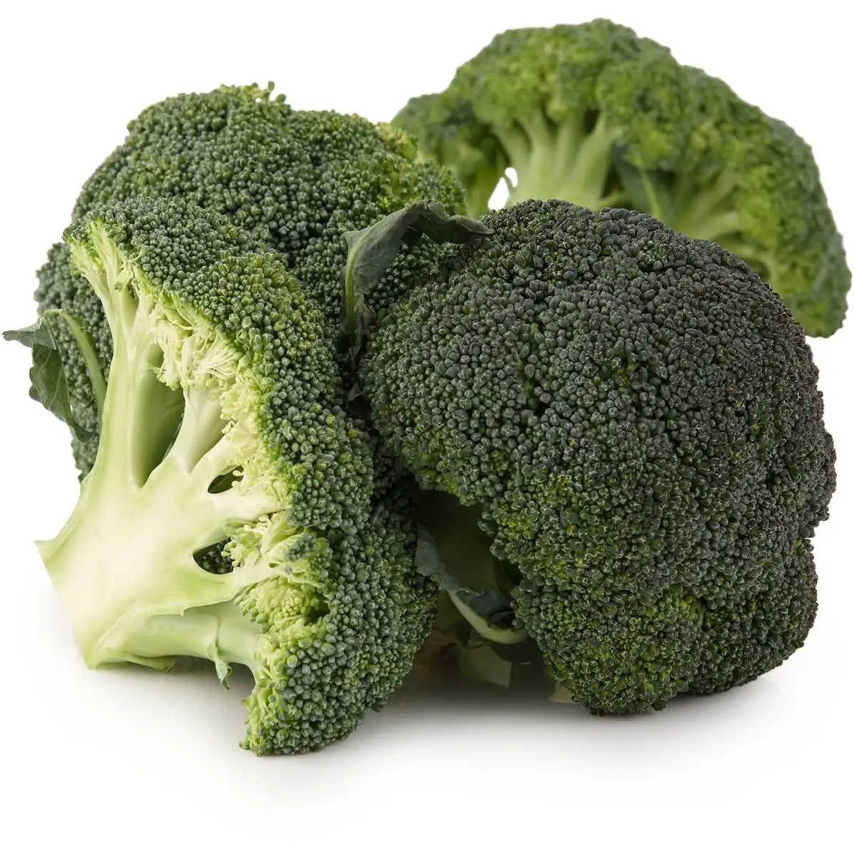 Good Quality Wholesale Fresh Broccoli Hot Sale High Quality Fresh Broccoli Factory Low Price Broccoli