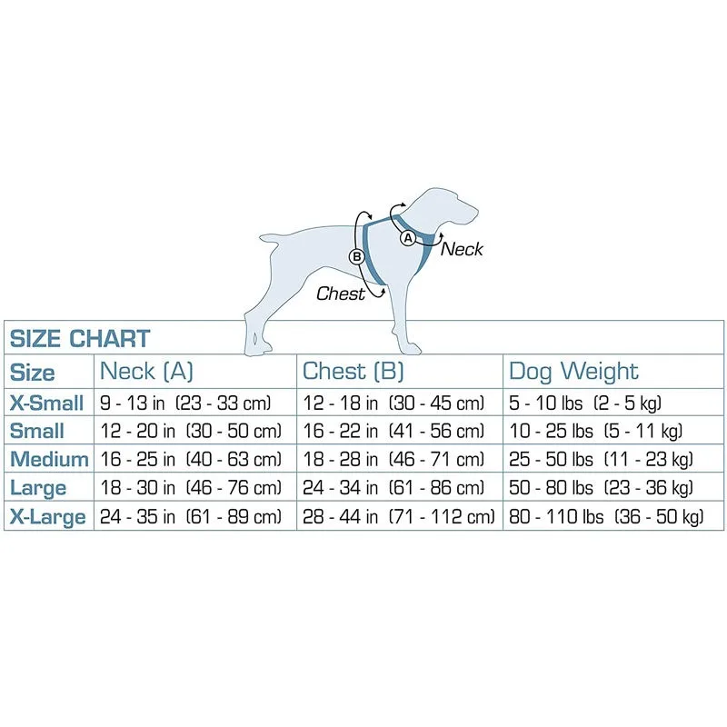 2024 New Design Printed Dog Harness Thermal Sublimation Polyester Material Pet Dog Collar Harness And Leash Set