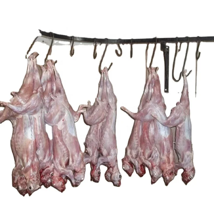 Best Discount Offer For Fresh Rabbit Meat Factory Wholesale Supplier