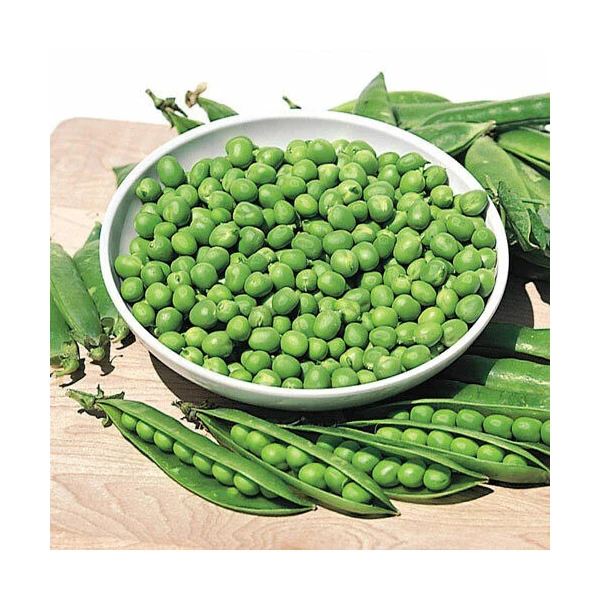 Premium Quality Food Grade Green Pigeon Peas Wholesale Bulk Style Storage Packing and Packaging ready for export