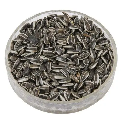 Sunflower-Seeds (2).jpg