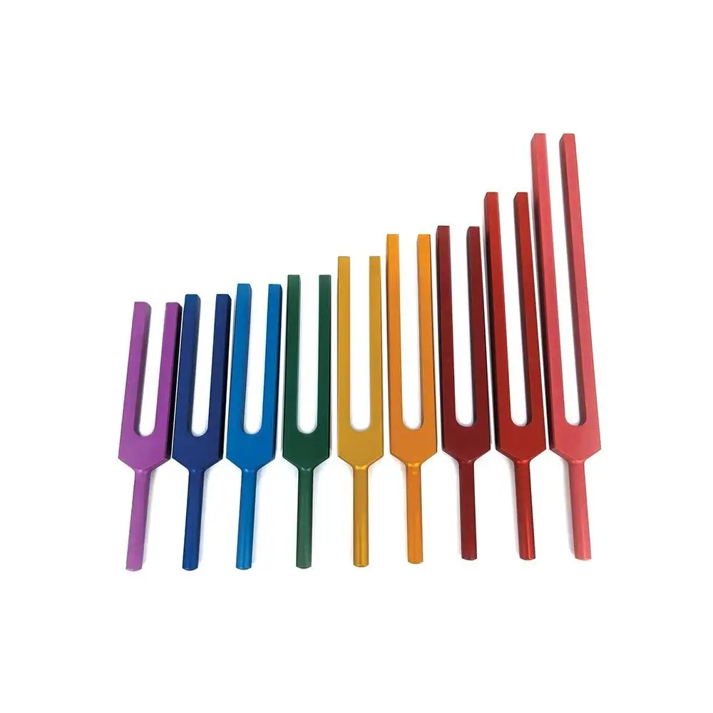 Surgical Tuning Forks Set 128 256 512Hz Medical Sound Healing Therapy Musical Instruments Hearing Tools