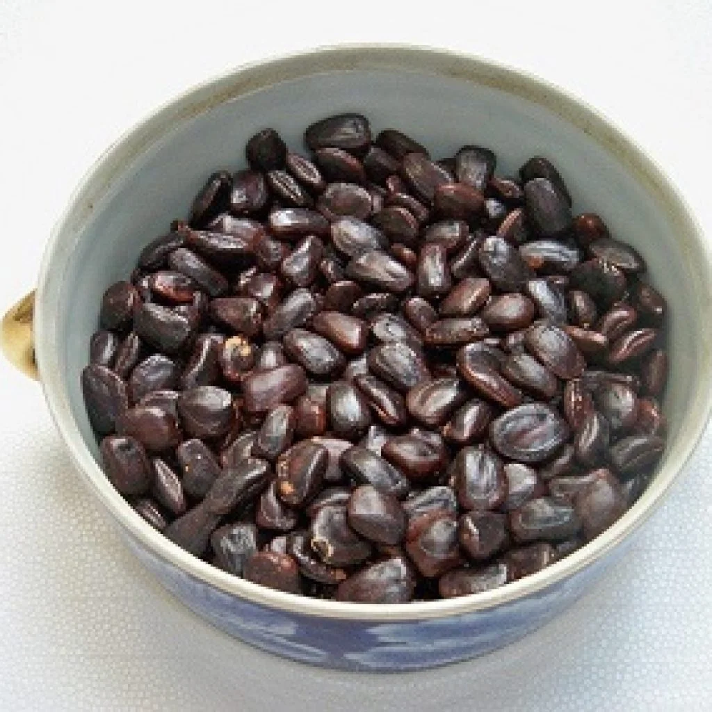 PREMIUM TAMARIND SEEDS / NATURAL AND NUTRIENT-RICH / MADE IN VIETNAM