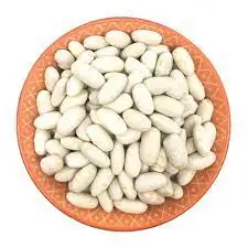 Wholesale Supplier Best Quality white kidney Beans For Sale In Cheap Price
