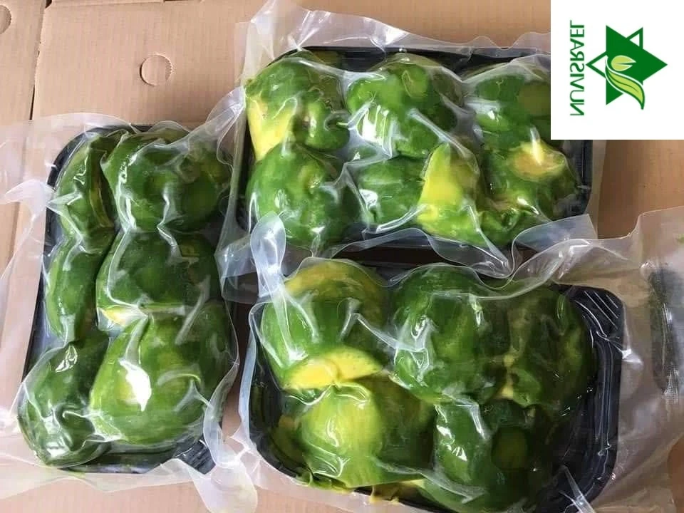 IQF Frozen fruits with 100% premium grade for wholesale tropical fruit frozen Vietnam avocado sale 2022