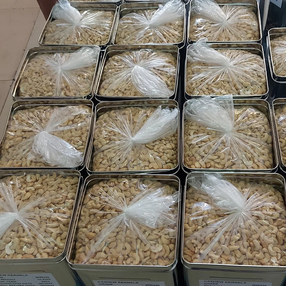 Cashew Nuts Senegal Cashew Kernel Nuts W320 W240 Cashew Nuts Price In Nigeria Wholesale Exported To US, Mid East +84931697868