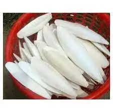 High quality - meets export standards, Dried Bulk Top Grade cuttlefish bone For Birds and Reptiles from Vietnam