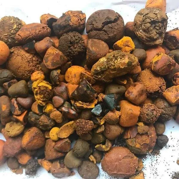 Ox Gallstones for Sale without Broken or powder stones