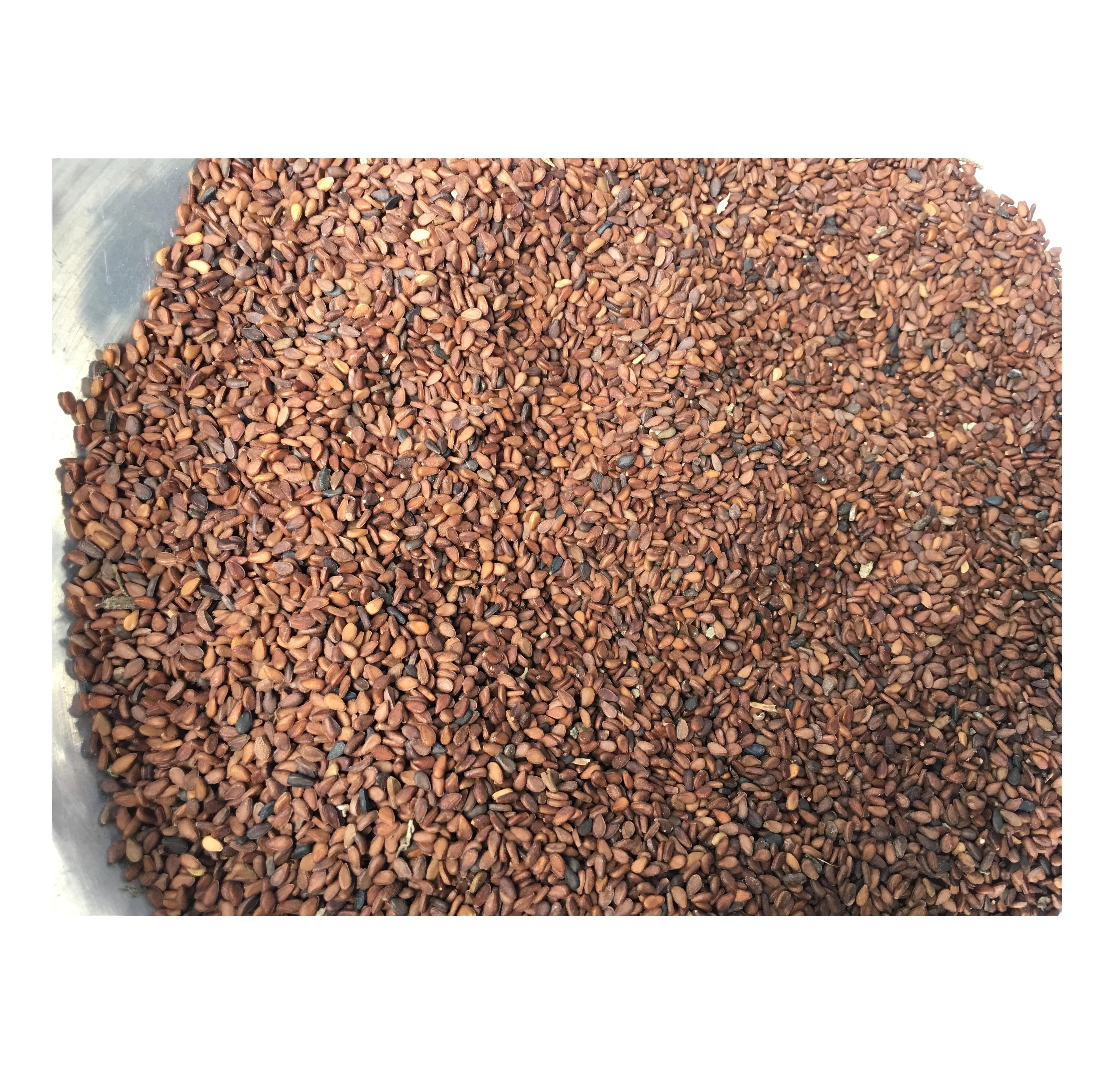 Mondol - Black ,Brown, White, Class A Sesame Seeds For Food And Sesame Oil - Bangladesh Origin
