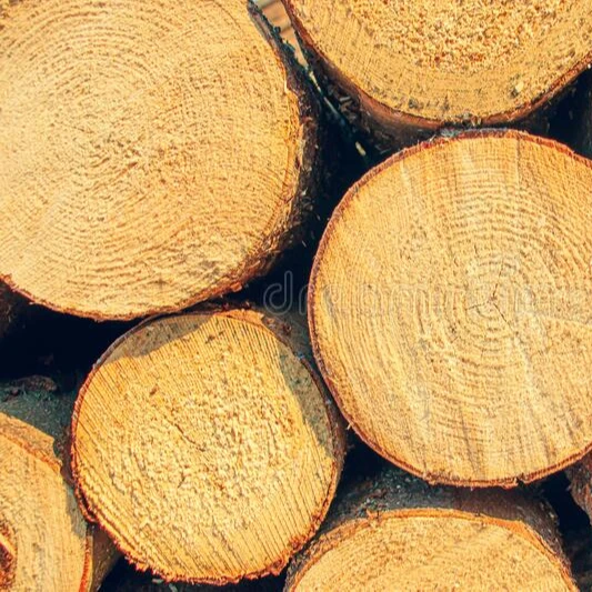 Spruce Logs