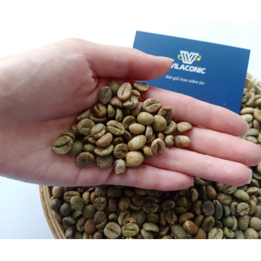 Purchase Wholesale Price High Quality Premium Cleaned/ Wet/ Polished Pure Robusta Coffee Bean In Bulk From Vietnam Factory
