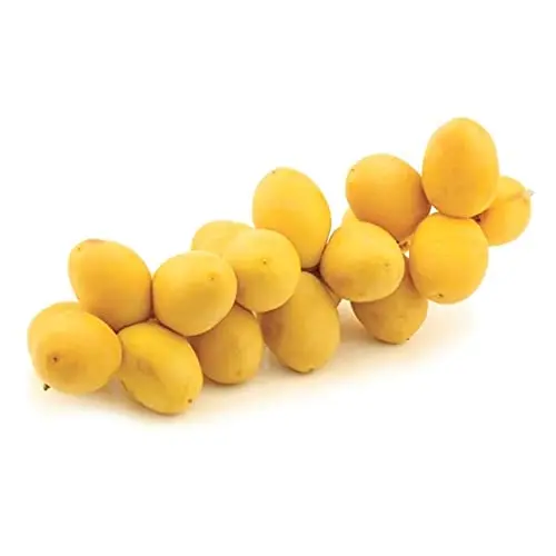 Dates Barhee Dates Organic Fruits Dates Yellow Fresh Fruits Other Fruit