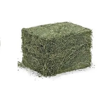 Quality alfalfa hay bays / Alfaifa pellets / Dehydrated Alfalfa for sale Alfalfa Hay, Rhodes Grass, Oats Grass for sale