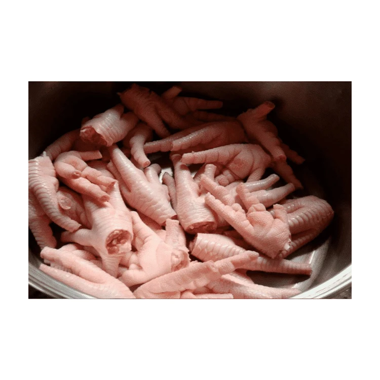 Best Grade Chicken Halal Frozen Chicken paws For Good Price Export Frozen Chicken Feet for ready market