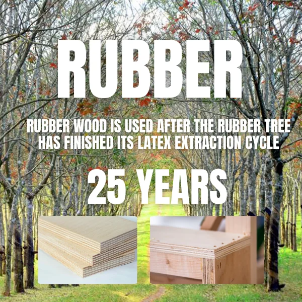 LVB Plywood standard thickness with natural colors core Acacia, Rubber, Pine Glue E0 suitable for making furniture