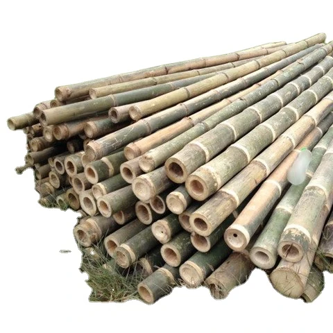 Высококачественный Натуральный Бамбуковый материал для декорирования и изготовления мебели Горячий тренд 2023