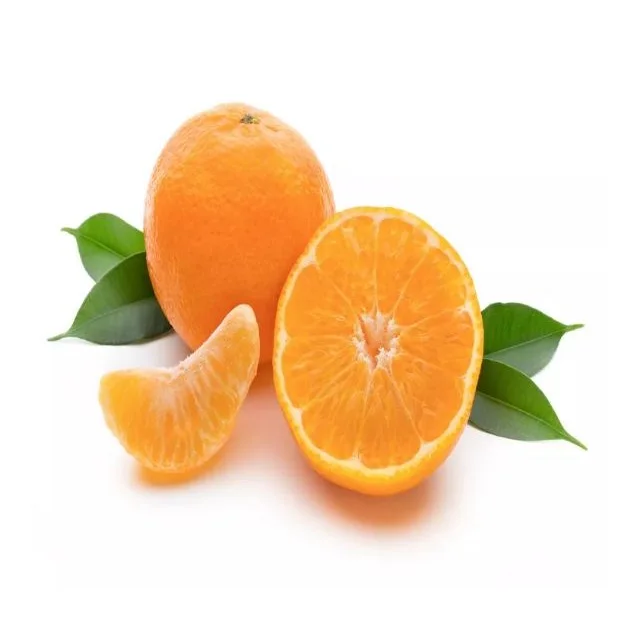 Top Quality Fresh Mandarin Orange Fruit For Bulk Quantities Low Prices / Wholesale mandarin (Kinnow) Exporter Oranges