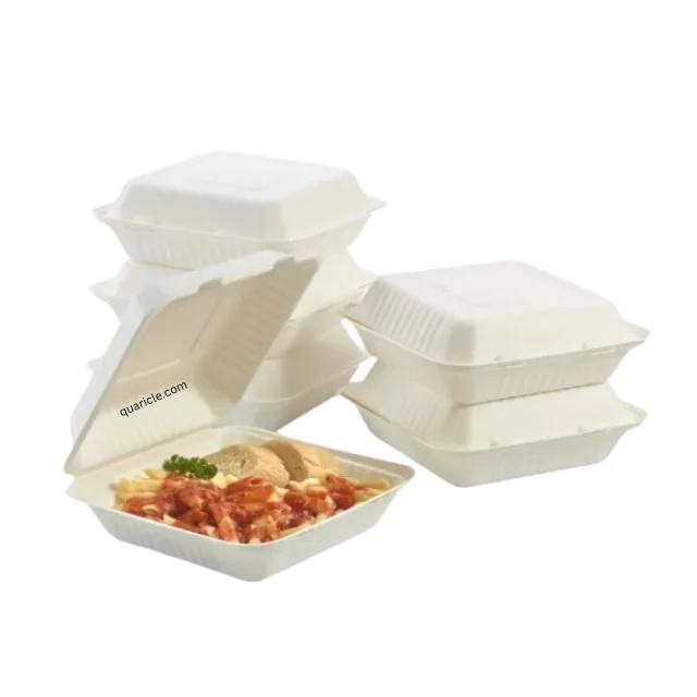 Modern Trending Disposable 9*6 9*9 Bagasse Burger Box Clamshell Natural for All Type of Events Packaging Food Trucks Travel