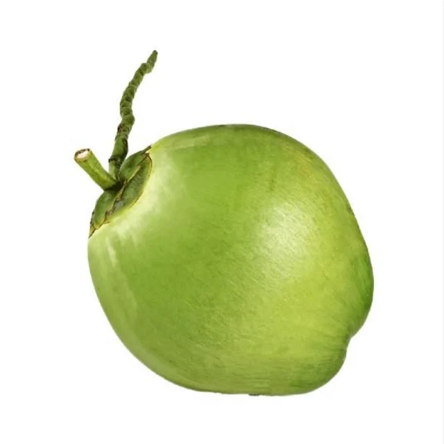Young Coconut / Fresh Coconut / Fresh green young coconut Top quality best price coconut for wholesales