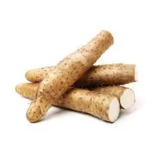 100% Fresh Burdock, Golden Burdock and fresh Burdock