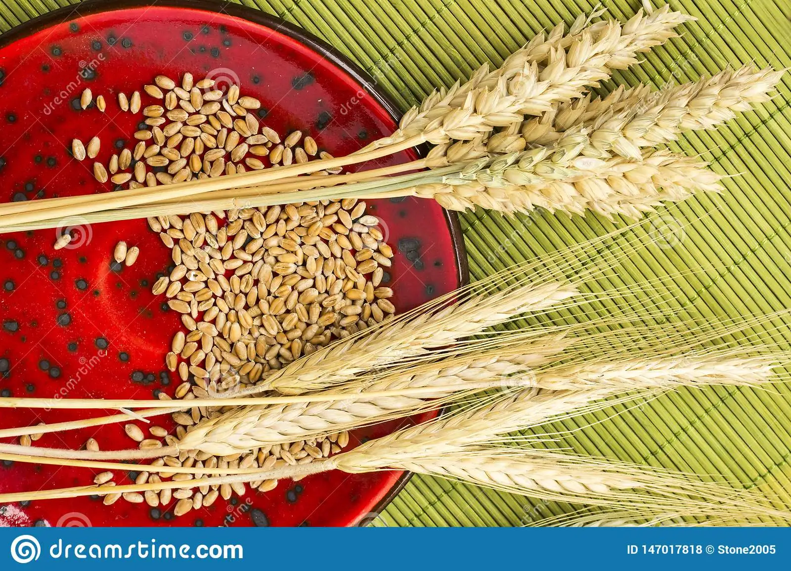 Wheat Grain from India Max Soft Bag Indian Style Packing COLOR Brown Natural Origin Type Milling Dried Protein Product Place