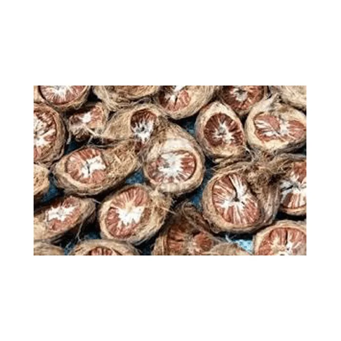 New Betel Nut Dried Supari In Hot Sale With High Quality Newly Crop Betel Nuts