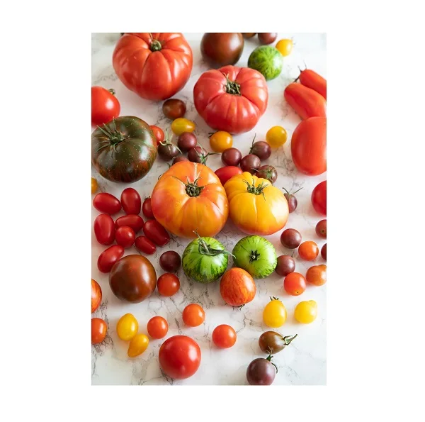 Hot Sale Buy Fresh tree Tomato Fresh Vegetables Tomatoes For Sale At Affordable Price