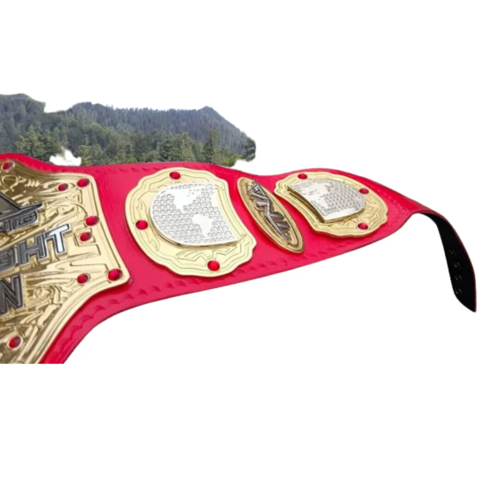 История чемпионата мира в супертяжелом весе TNA tna дизайн