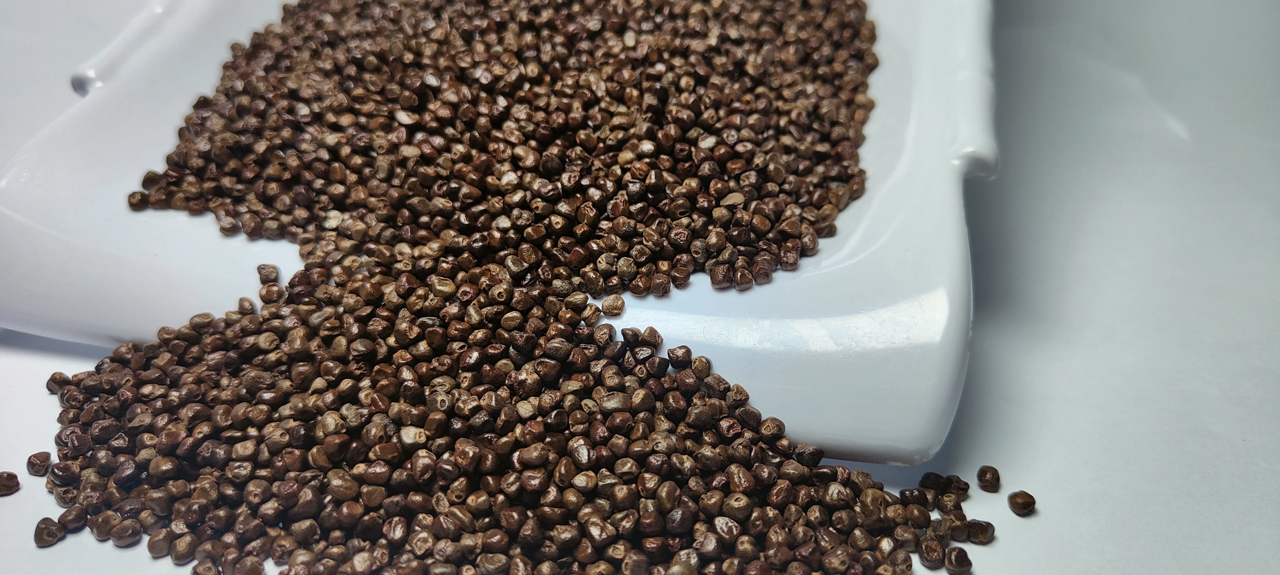 Cardamom Seed DP-07.jpg