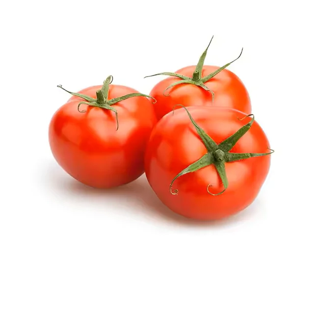 Hot sale Farm Fresh Beef Tomato, Cherry Tomato, Fresh Plum Tomatoes for Sale export price