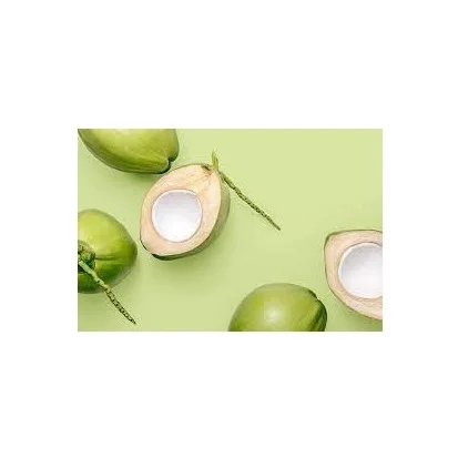SEMI HUSKED COCONUT EXPORTER FROM INDIA