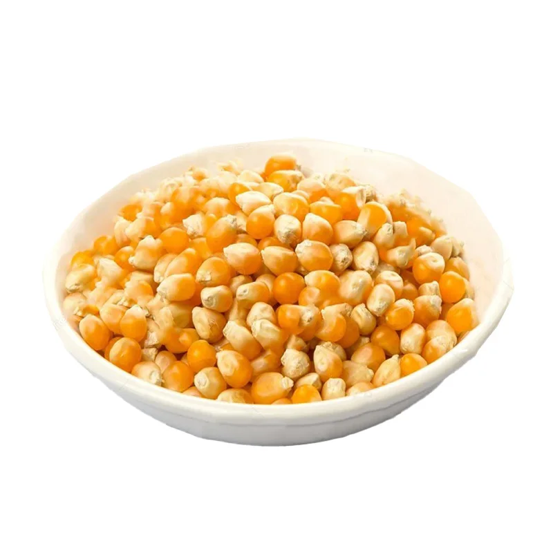 Оптовая цена клейкая Кукуруза None-GMO желтого цвета 100% натурального качества сладкая кукуруза