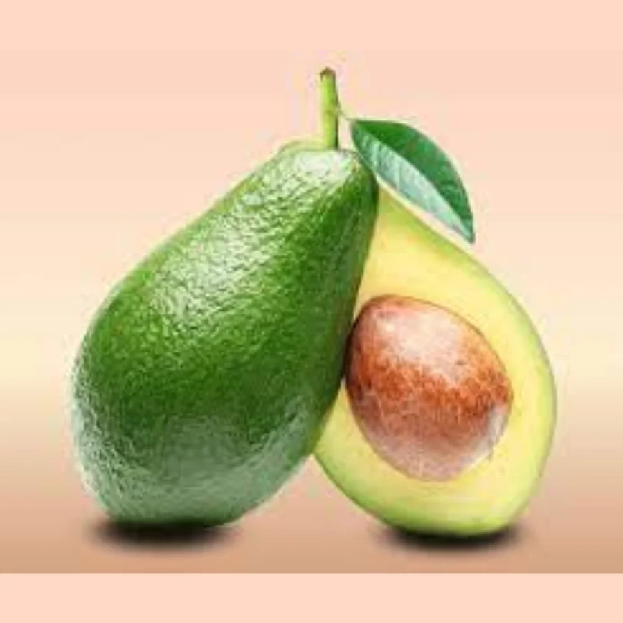 High quality avocados Organic Tropicana Fruits Fresh tropical fruit avocados to suit all your needs