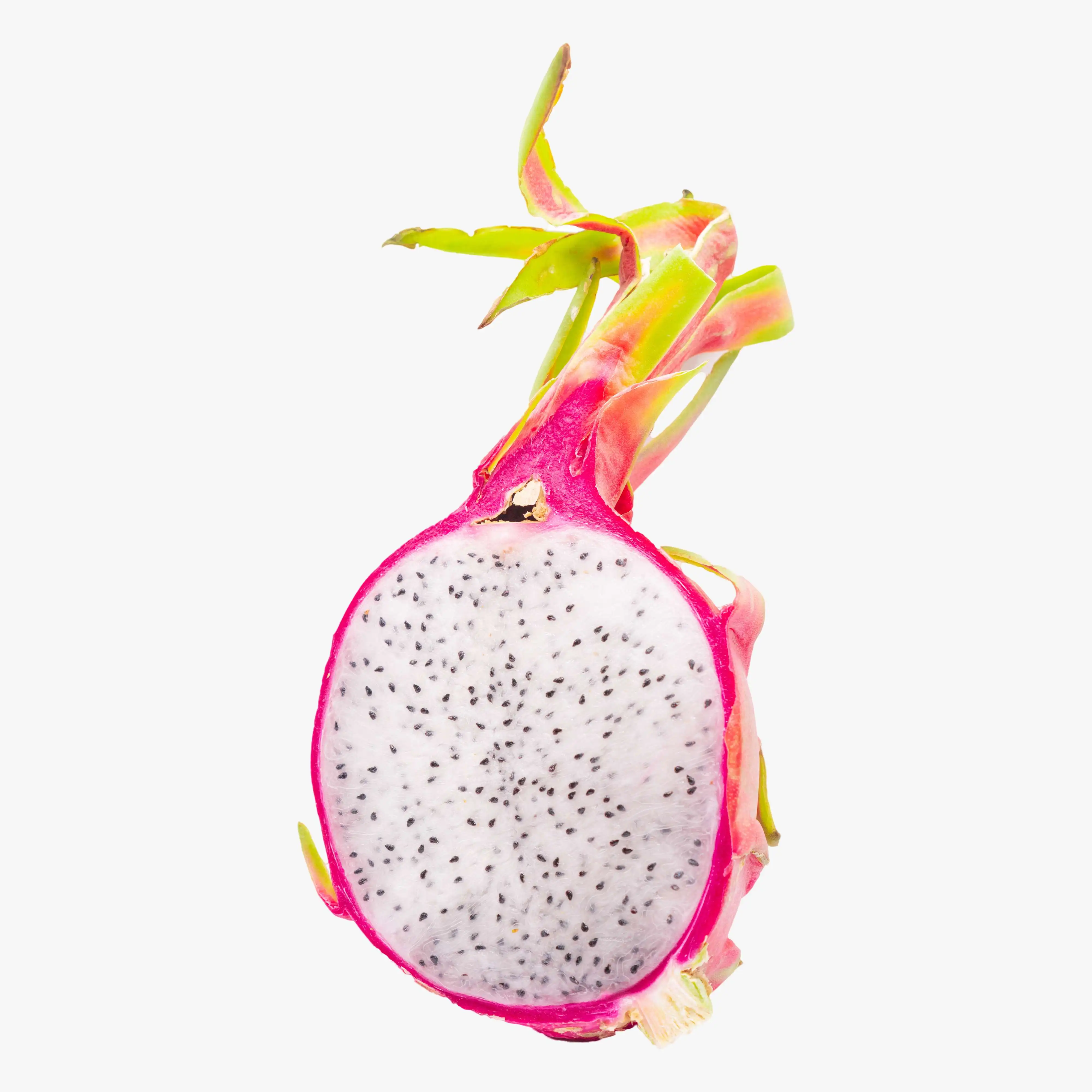 Natural Sweet Fresh Dragon Fruit From Supplier In Vietnam Competitive Price Ready To Export Dragon Fruit Cheap Price