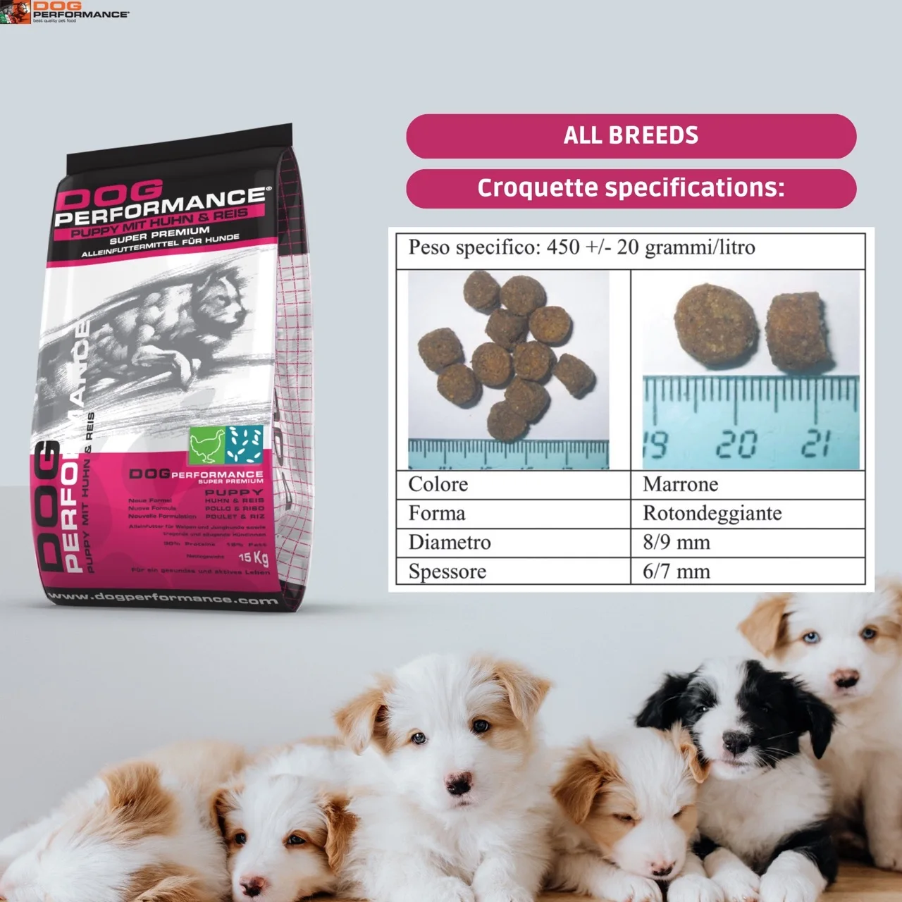 Лидер продаж корм для собак итальянской высшей породы-сухой с курицей-идеально подходит фазы отлучения от груди и периода роста