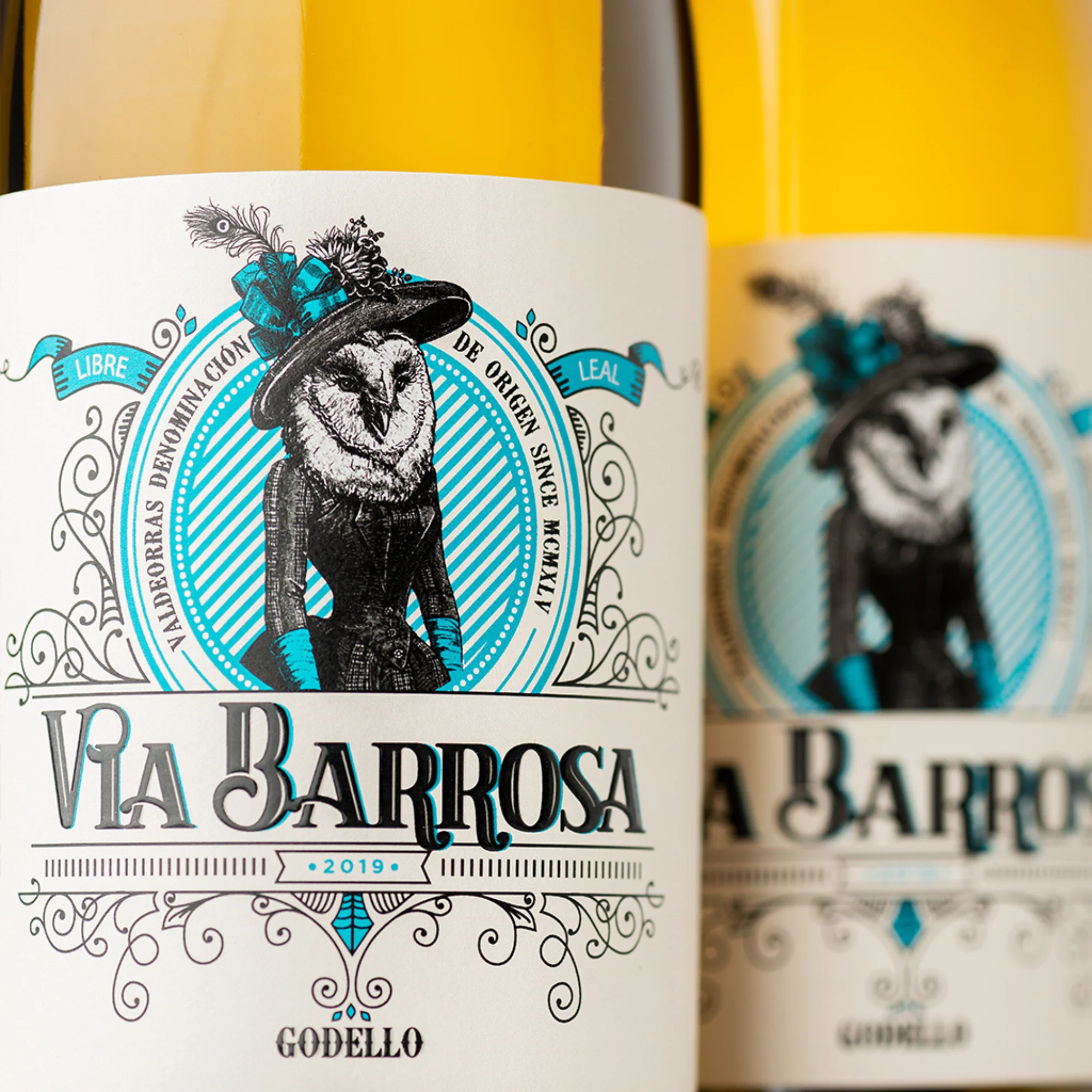 White Wine from Spain | Via Barrosa Godello 2021 | DO Valdeorras | Packaging 750 ml glass bottle | Vina Costeira Brand