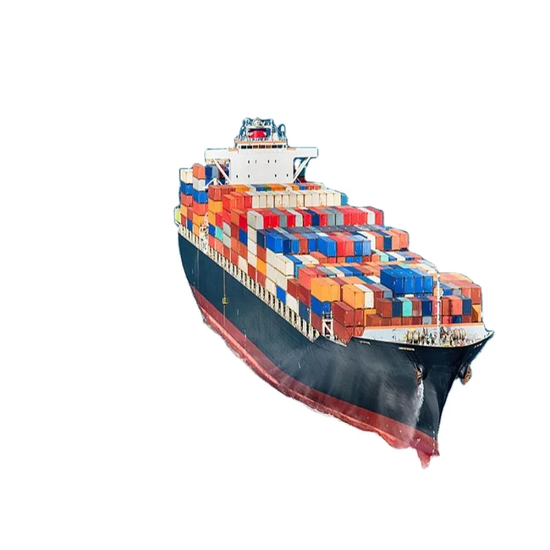 Reliable China Shipping agent sea freight from China to india Door to Door DDP Freight Agents