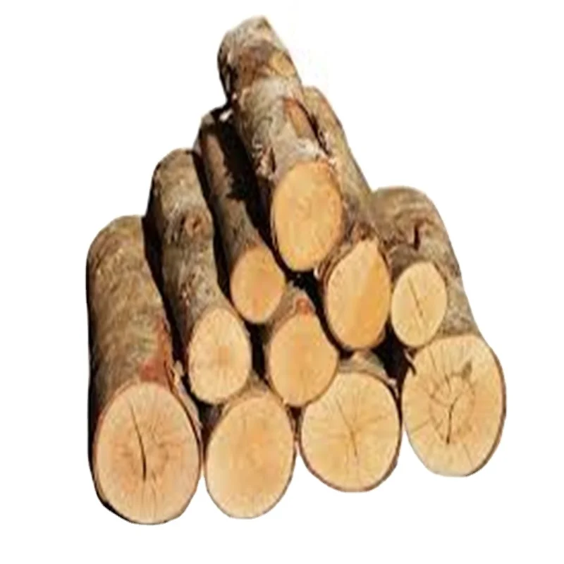 High Quality Pine Eucalyptus Oak and Teak Wood Logs Timber Sawn Wooden Logs Material that Sells like Hot Cakes