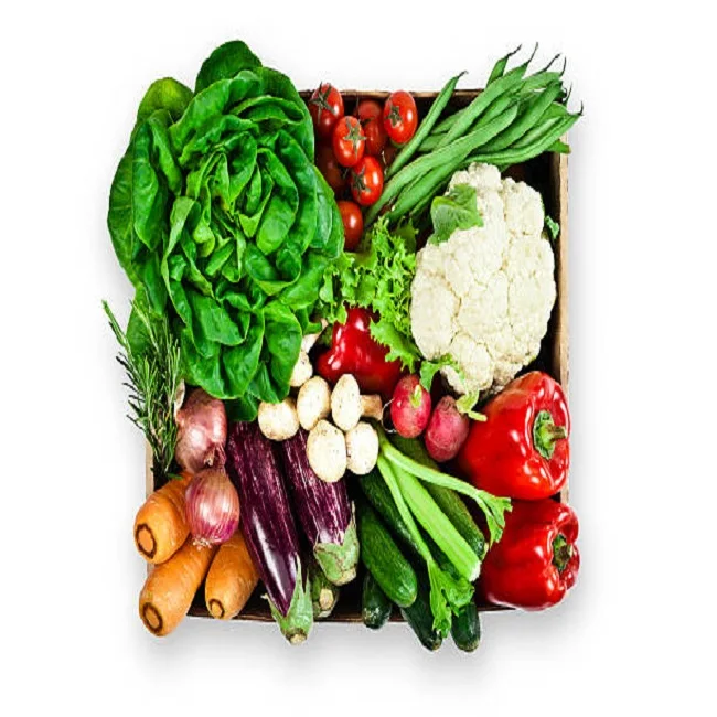 RED ONION YELLOW ONION TURKISH ONION FRESH VEGETABLE